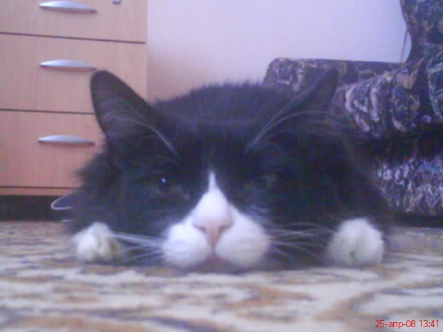 Иван Тит фотография #6