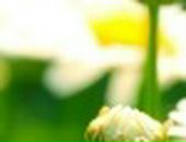 Яна Excale фотография #31 (источник - https://vk.com/id727315)