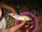 Андрій Лемешов фотография #10 (источник - https://vk.com/id75276033)
