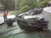 Фотография Даниловой Светланы