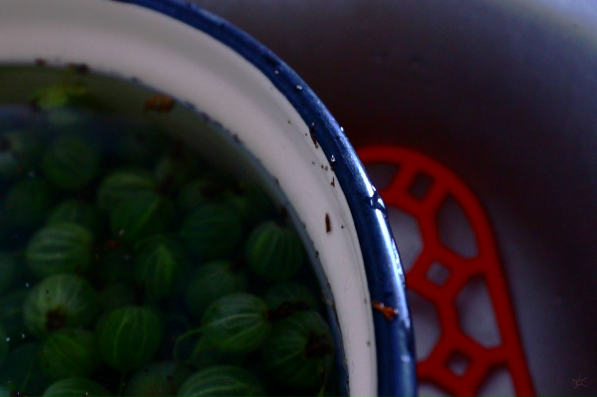 Илья Черников фотография #25