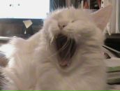 Фотография Пителиной Натальи