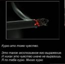 Alexander Sapsalev фотография #22 (источник - https://vk.com/id28975693)