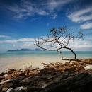 Фотография Шалаева Павла