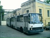 Фотография Береста Александра