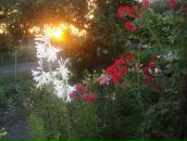 Сергій Дудін фотография #37 (источник - https://vk.com/id60860149)