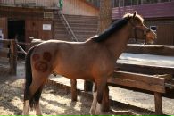 Фотография Тихоновой Светланы