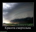 Фотография Глазкова Антона