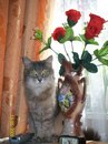 Фотография Шкель Альбины