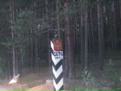 Фотография Подгорных Максима