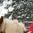 Сергій Даценко фотография #8 (источник - https://vk.com/id155483761)