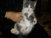 Ірчик Шкірчик фотография #43 (источник - https://vk.com/id20499234)