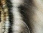 Міша Линник фотография #21 (источник - https://vk.com/id22748640)