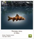 Діма Мікулеску фотография #13 (источник - https://vk.com/id148218934)
