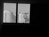 Фотография Луговой Ксюши