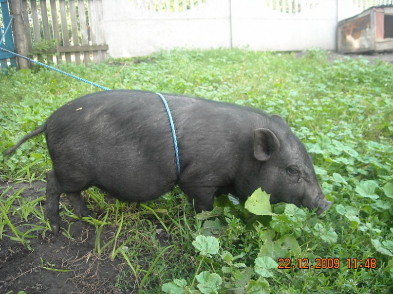 Леонид Вербицкий фотография #17