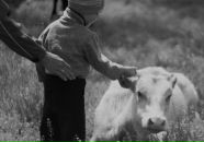 My Flight фотография #3 (источник - https://vk.com/id78839014)