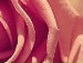 Маша Білоросюк фотография #14 (источник - https://vk.com/id123003306)