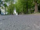 Вовік Морзік фотография #48 (источник - https://vk.com/id23592091)