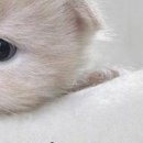 Олексій Карлов фотография #27 (источник - https://vk.com/id154805459)