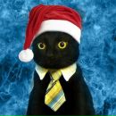 Фотография Вара-Эмрейса Эмгыра