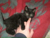 Виктор Трусов фотография #4 (источник - https://vk.com/id2997308)