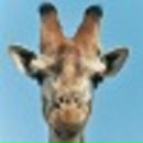 Фотография Гы Пашка