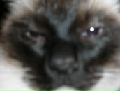 Фотография Matveev Alex