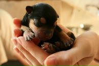 Анна Сметанова фотография #32 (источник - https://vk.com/id739008)