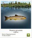 Василий Мыс фотография #46 (источник - https://vk.com/id31481818)