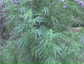 Женя Ладигін фотография #15 (источник - https://vk.com/id132092378)