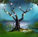 Аліночка Бойко фотография #6 (источник - https://vk.com/id146997245)