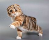 Олег Кульбіцький фотография #12 (источник - https://vk.com/id53418248)