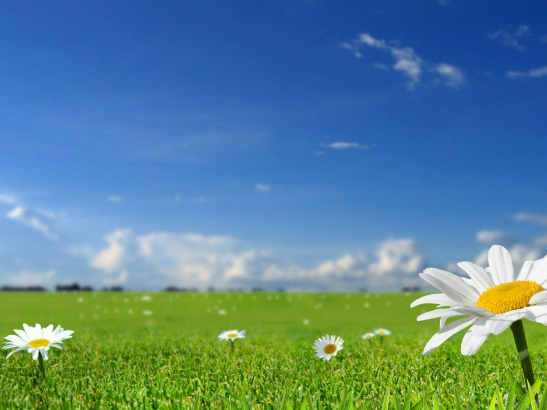 Сергей Новиков фотография #7