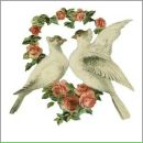 Софія Ільчишин фотография #9 (источник - https://vk.com/id71587395)