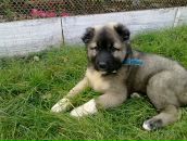 Женя Тимофійчук фотография #50 (источник - https://vk.com/id89248889)