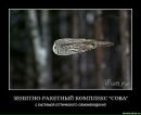 Андрій Білинський фотография #9 (источник - https://vk.com/id172550204)
