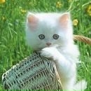 Вікусік Ігнатенко фотография #1