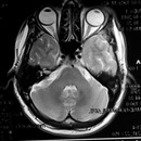 Фотография Бекшаева Андрея