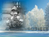 Фотография Вилипп-Няряниной Анны