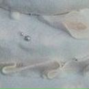 Ігор Мудрик фотография #25 (источник - https://vk.com/id85278045)