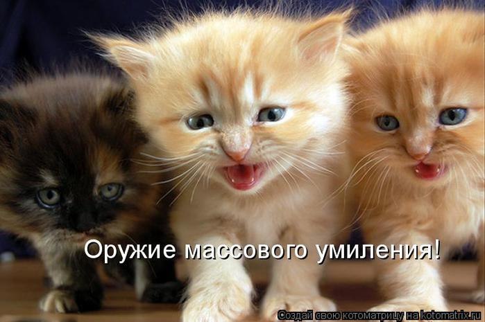 Роман Смирнов фотография #23