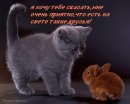 Вікуся Козак фотография #14 (источник - https://vk.com/id37152939)