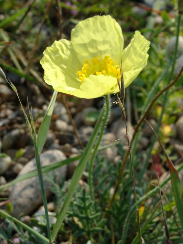 Игорь Богадевич фотография #18