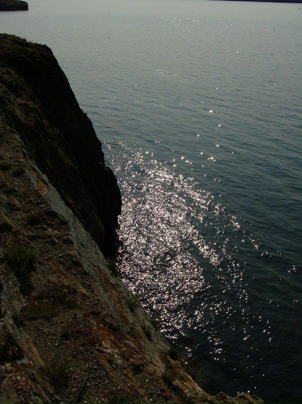 Игорь Богадевич фотография #12