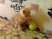 Фотография Дунаускас Юлии