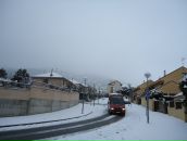 Oleksandra Bychkovska фотография #39 (источник - https://vk.com/id79014105)