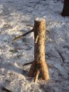 Денис Савельев фотография #40 (источник - https://vk.com/id2126692)