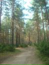 Фотография Грачевой Ольги