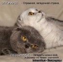 Иришка Венцова фотография #46 (источник - https://vk.com/id4664078)